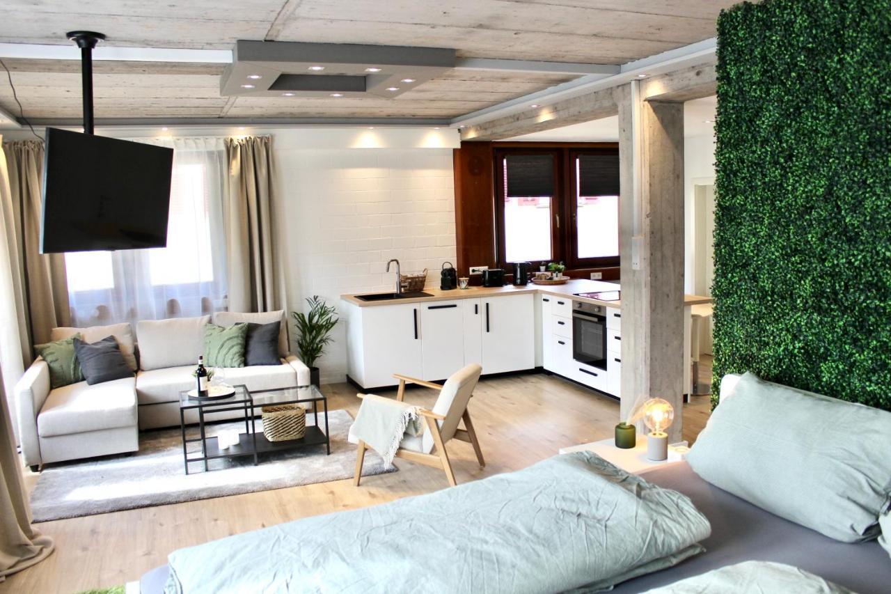 Vier Sind Hier Apartments Rottweil Buitenkant foto